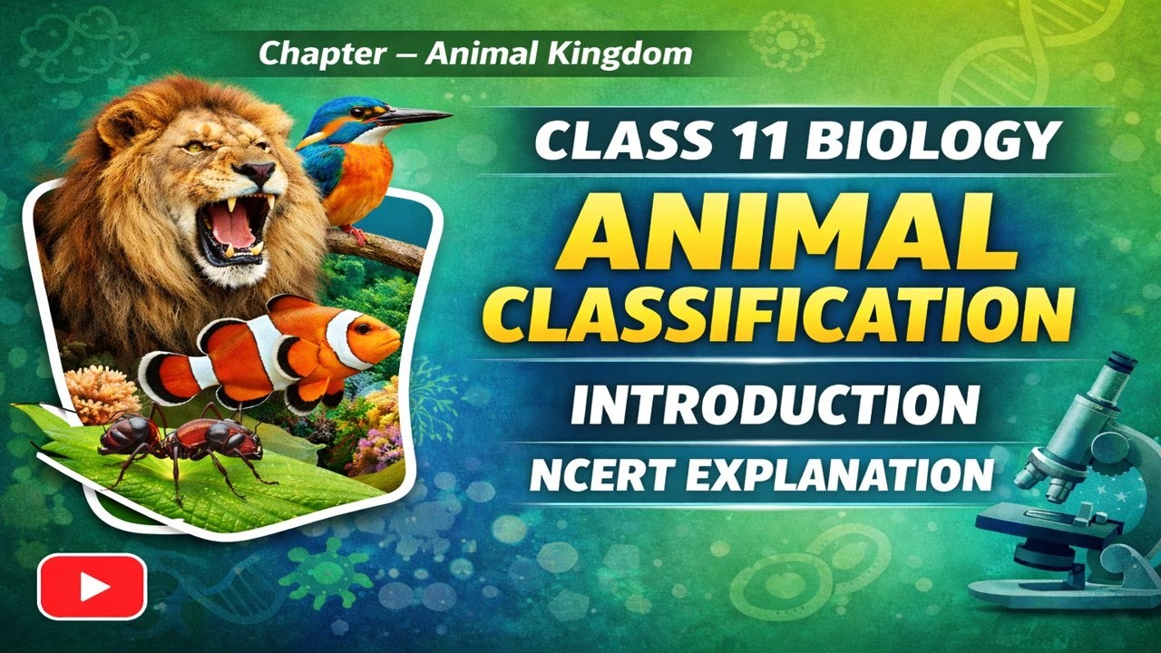 Class 11 Biology – Animal Classification Introduction | NCERT Explained
