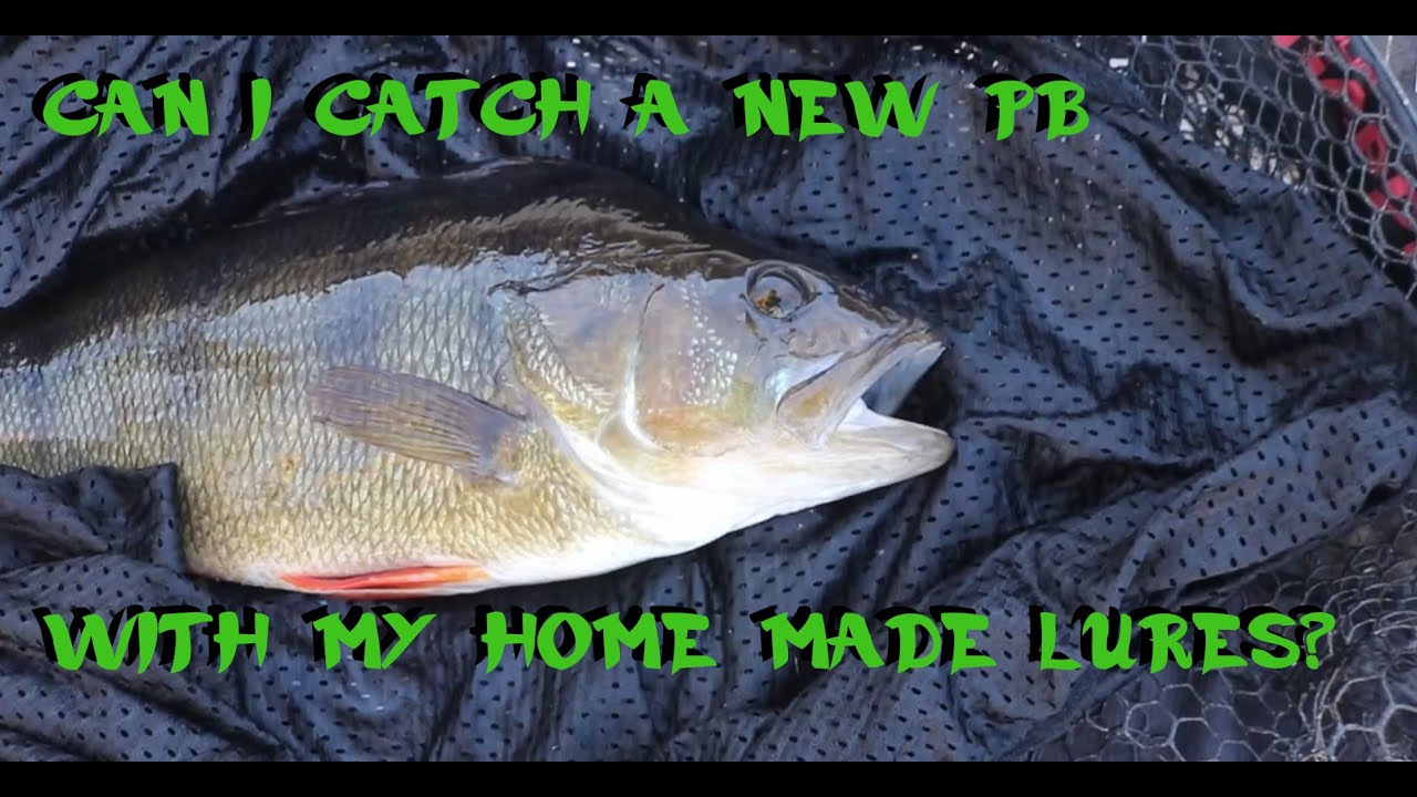 LURE FISHING FOR A PB PERCH [lure fishing]