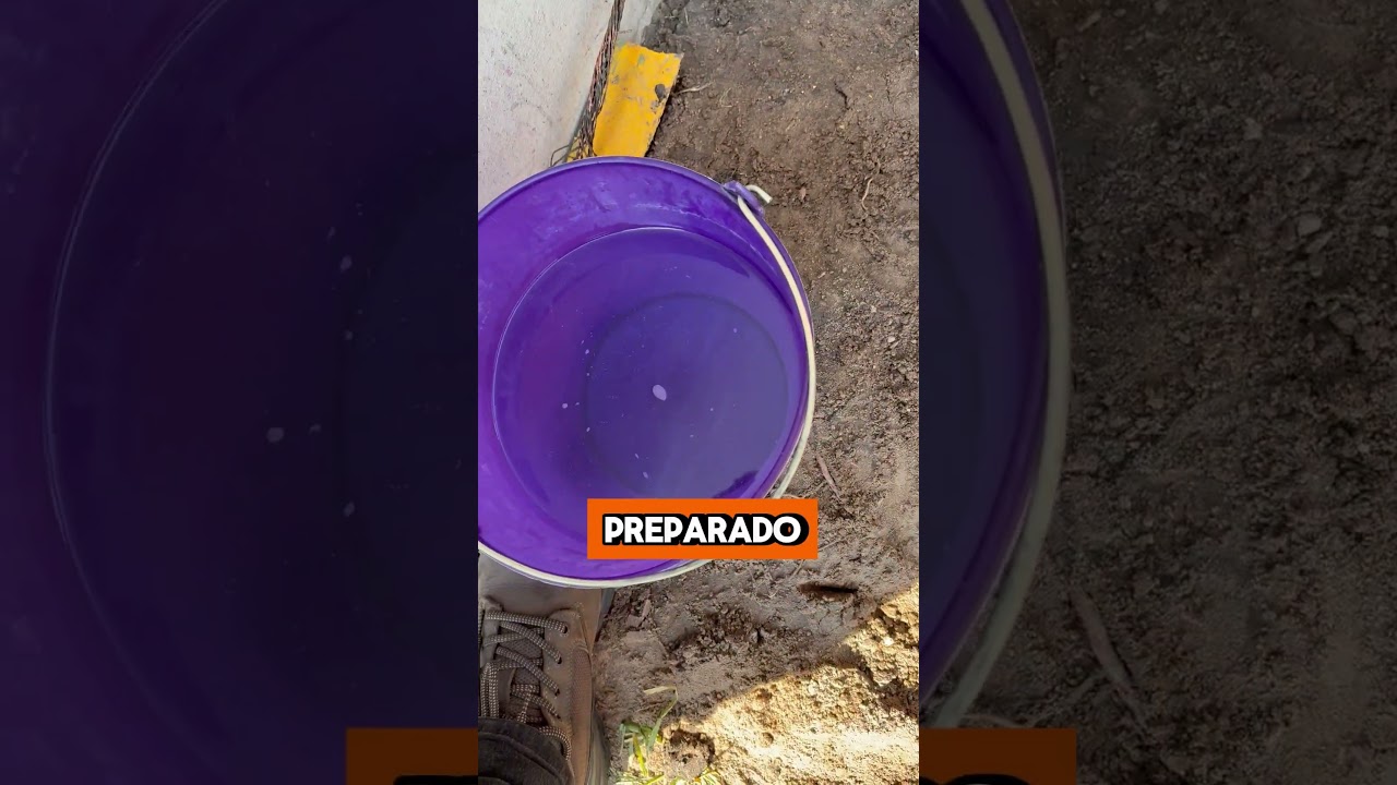 As&iacute; se instala el magneto activo