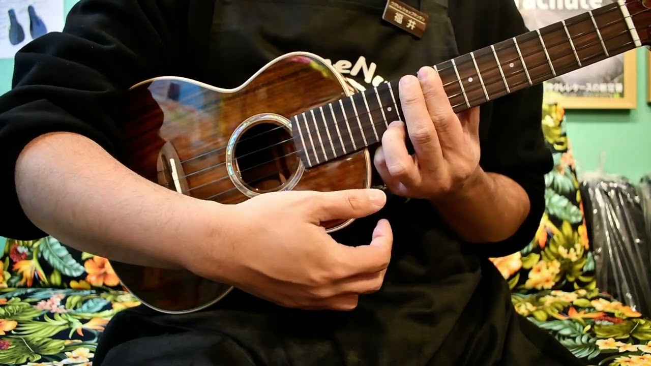 NEW/aNueNue AAA2 Concert【お茶の水店】 @ukuleleshoptantan