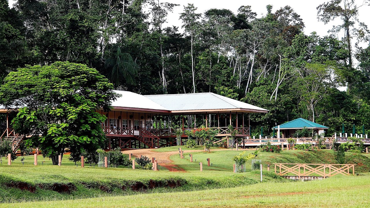 Kabalebo - Suriname