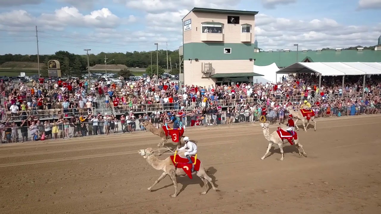 Camel Race 2019