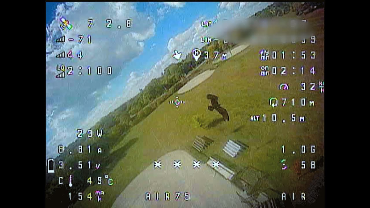 Air 75 FPV vs. Huge Vultures – Who Rules the Sky?