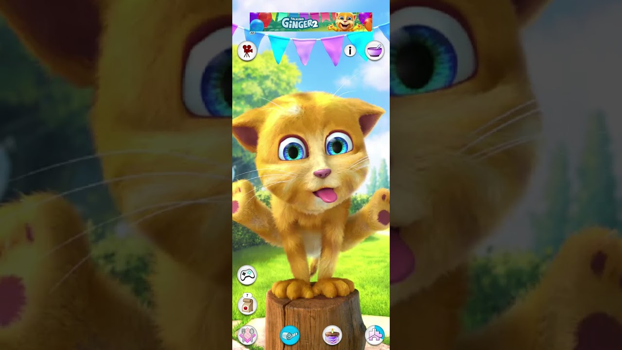 Talking Ginger 🍒🍟🍔🍕😋  Gameplay | talking ginger cat | talking ginger 2 |