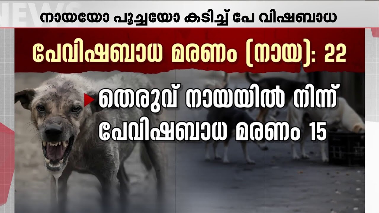 തെരുവുനായ ആക്രമണം രൂക്ഷം; മരണം കൂടുന്നു; കടിയേറ്റത് 1,04,728 പേർക്ക്