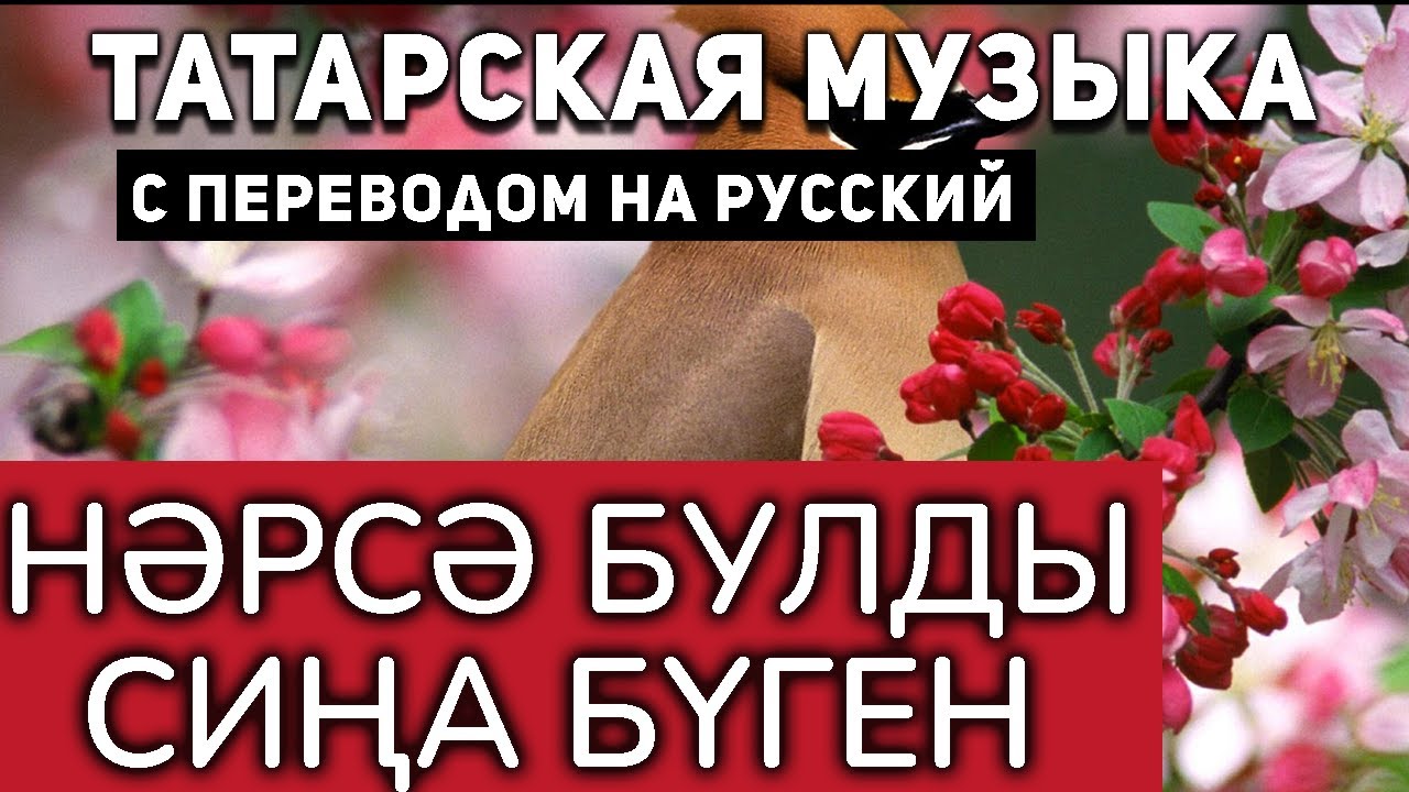 Татарские песни с переводом на русский I Нәрсә булды сиңа бүген I Зульфат Хаким