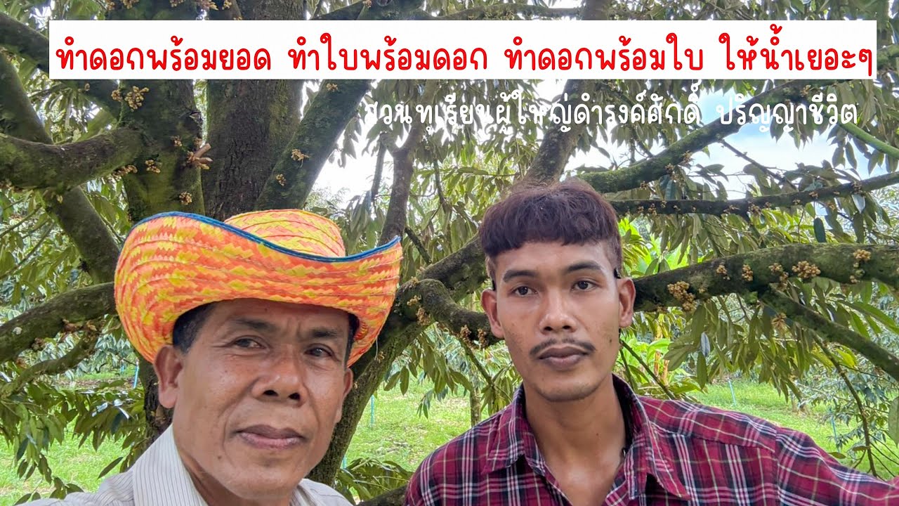 ทำดอกพร้อมยอด  ทำใบพร้อมดอก ทำดอกพร้อมใบ ให้น้ำเยอะๆ | EP.194