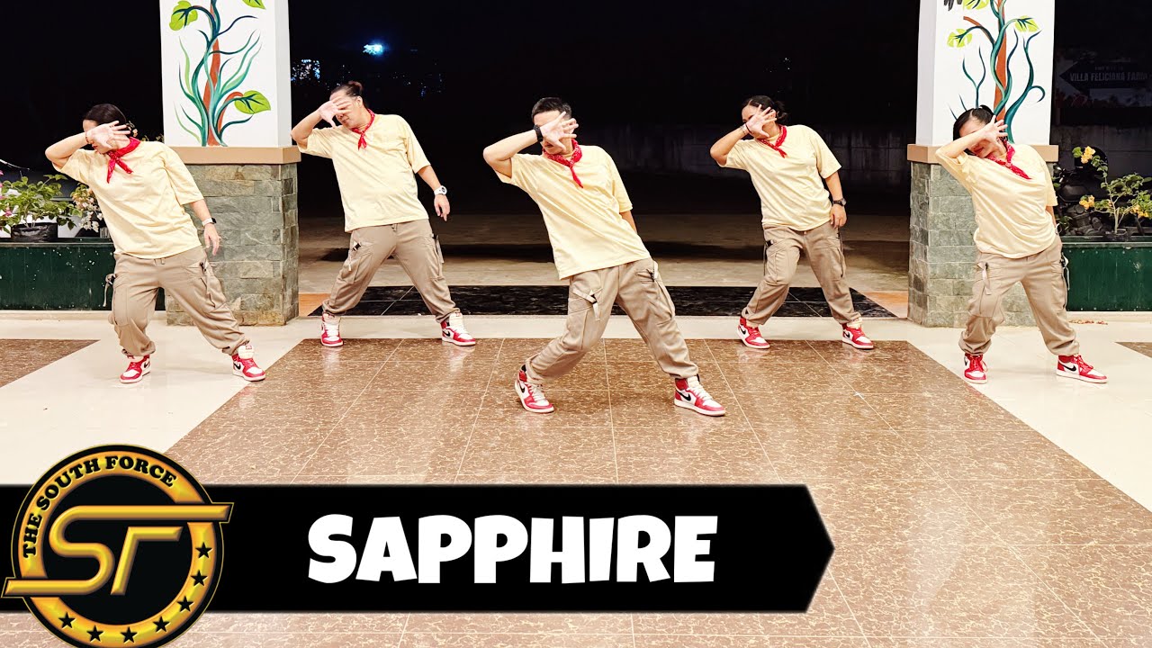 SAPPHIRE ( Dj Ronzkie Remix ) - Dance Trends | Dance Fitness | The South Force