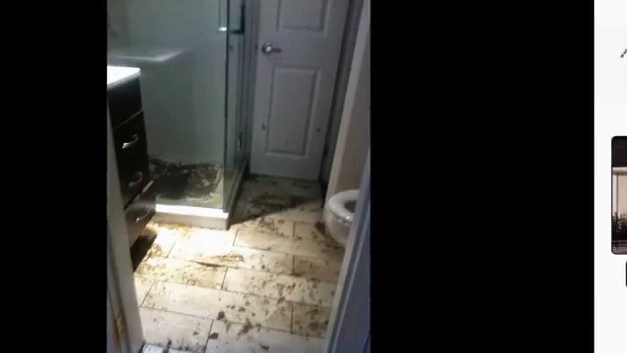 Flood Damage Emergency Flooded Basement Clean Up Hewlett NY| 516-224-7776