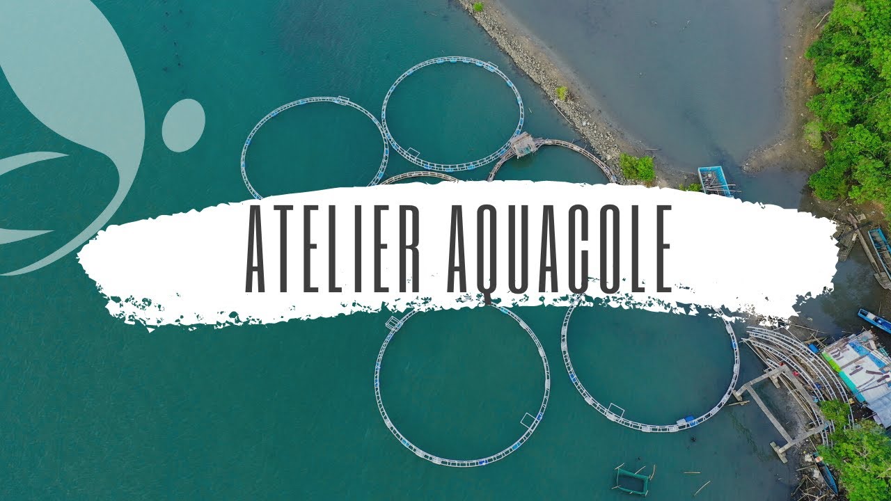 ISETA - L'atelier Aquacole