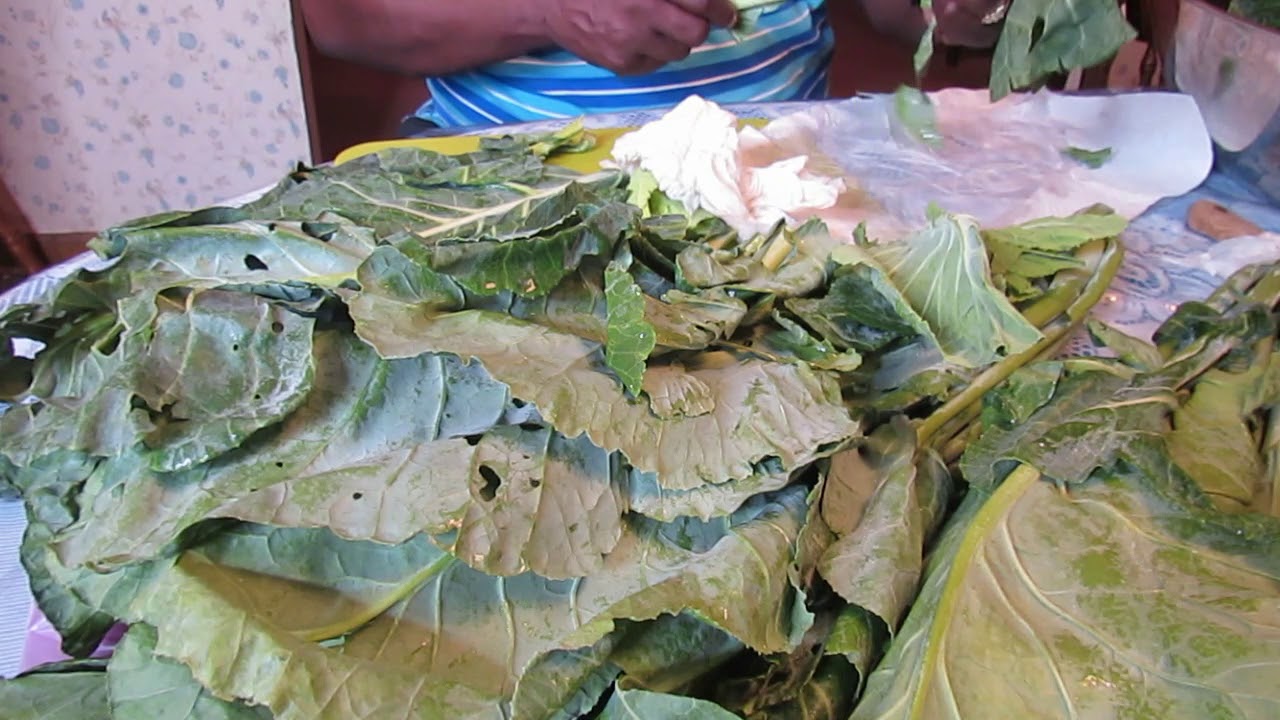 How to pick, clean and cut fresh collard greens (Requested Video)