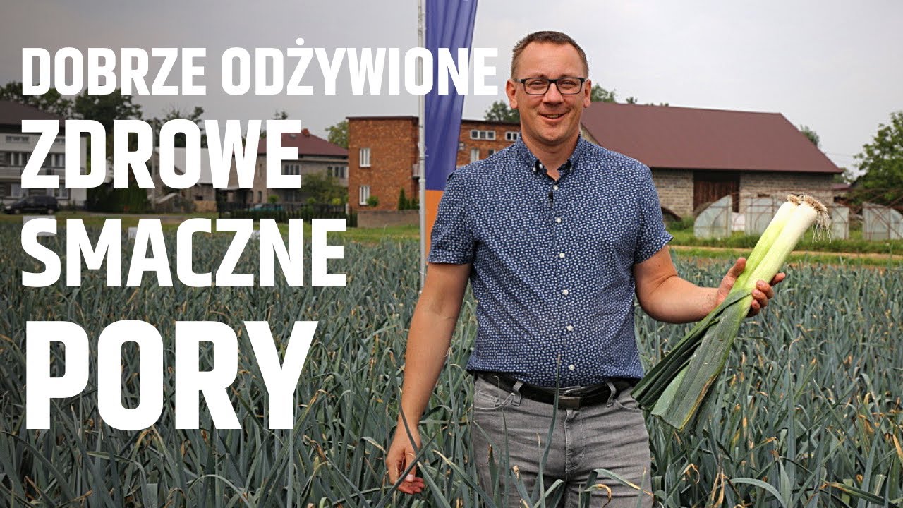 Zdrowe, dobrze odżywione i smaczne pory