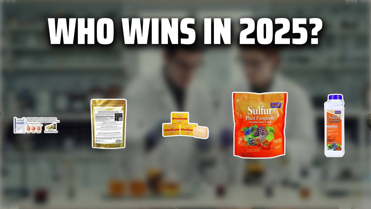 The Top 5 Best Sulfur in 2025 - Must Watch Before Buying!