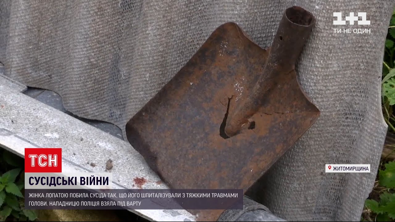 Новости Украины: селянин из-под Житомира оказался в больнице из-за соседки с лопатой