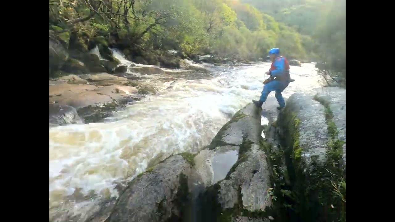 Upper Dart Euthanasia