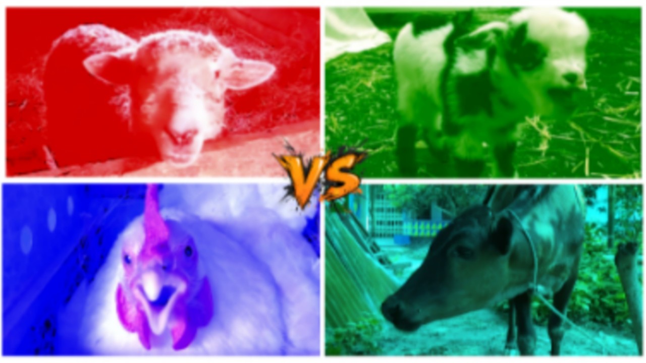 Funny Sheep🐏🆚️ Funny Goat🐐🆚️ Funny Hen🐓🆚️ Funny Cow🐄🆚️ Tiles Hop EDM Rush