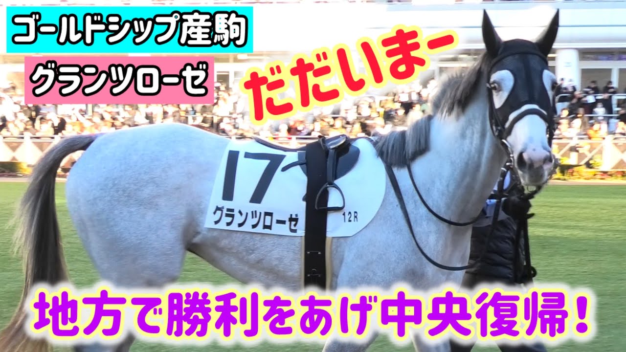 【ゴールドシップ産駒】中央復帰のグランツローゼからのただいまーのファンサが可愛すぎた