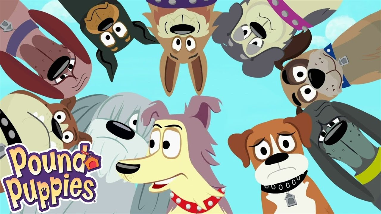 Pound Puppies | The Yipper Capper | Season 1 | Pet Cartoon