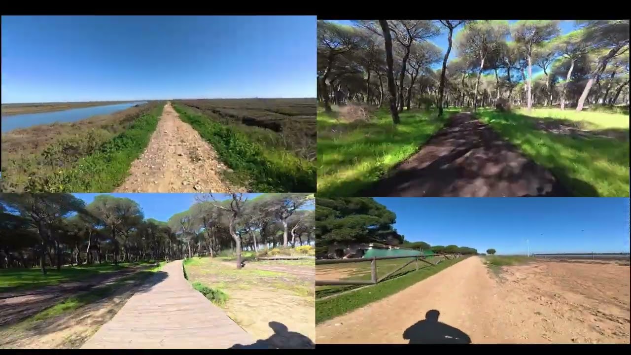 11032026  mp4