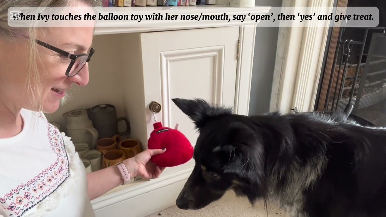 PDT Video B - teaching a complex behaviour