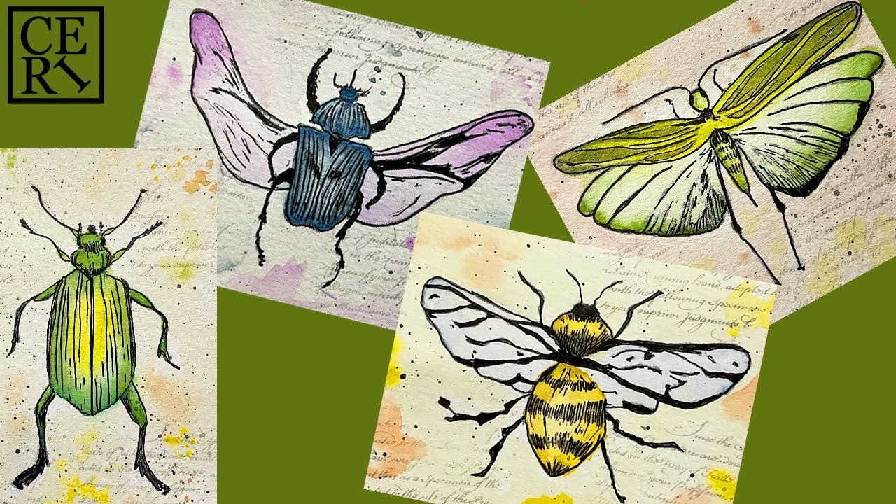 Unleash Your Creativity, Watercolour Insects Stamp & Play