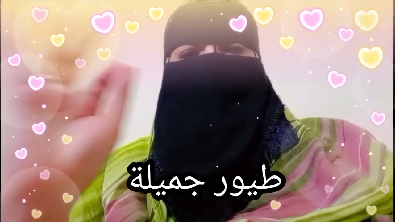 دينا وريهام مع بعض في السكن ع الكنبه 