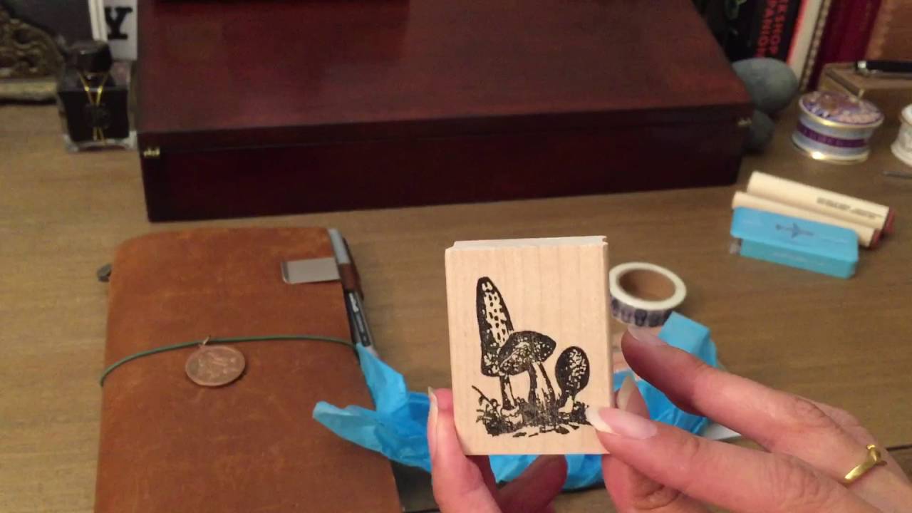 Paper-Ya Haul & Chat