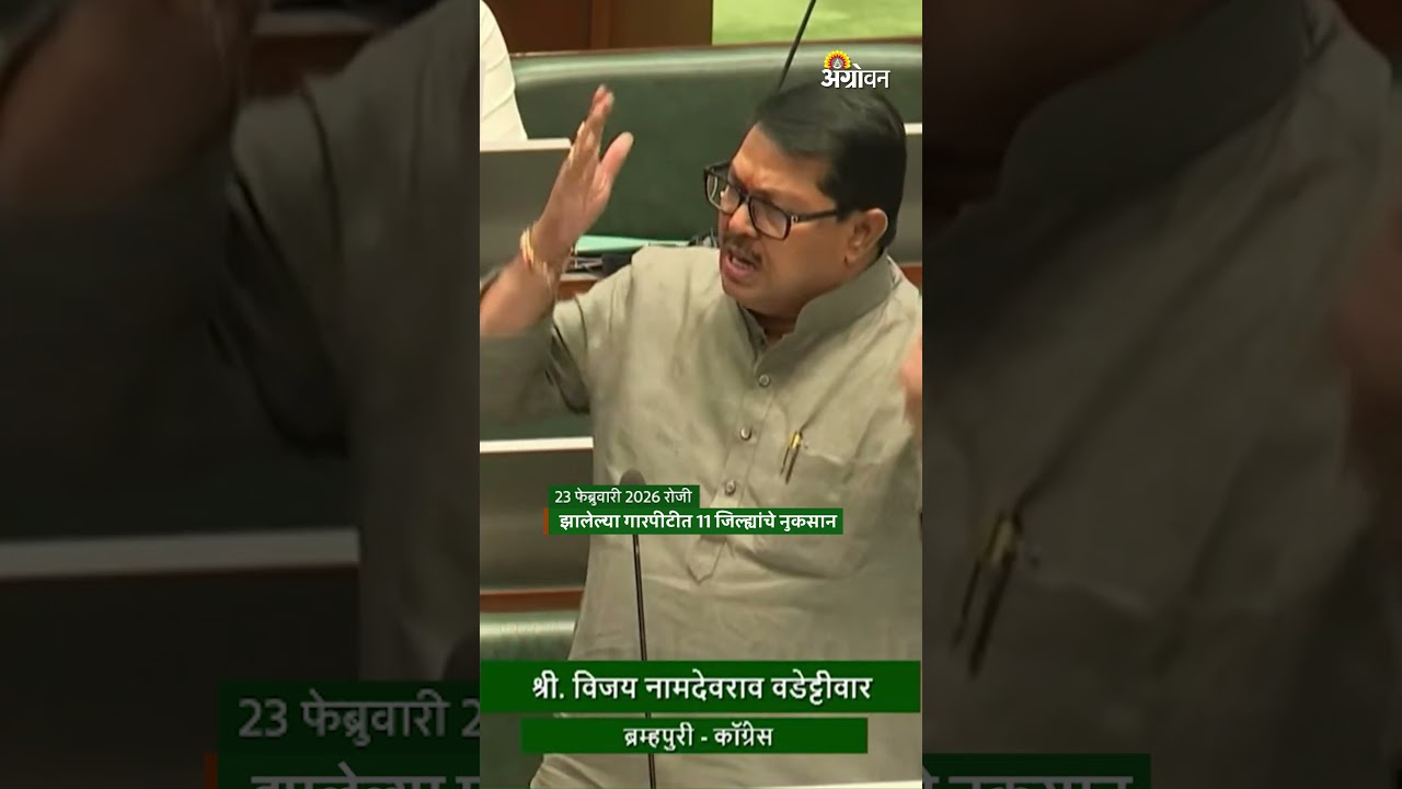 Vijay Wadettiwar: धान खरेदी व बोनसचे पैसे अद्याप प्रलंबित - विजय वडेट्टीवार | Agrowon