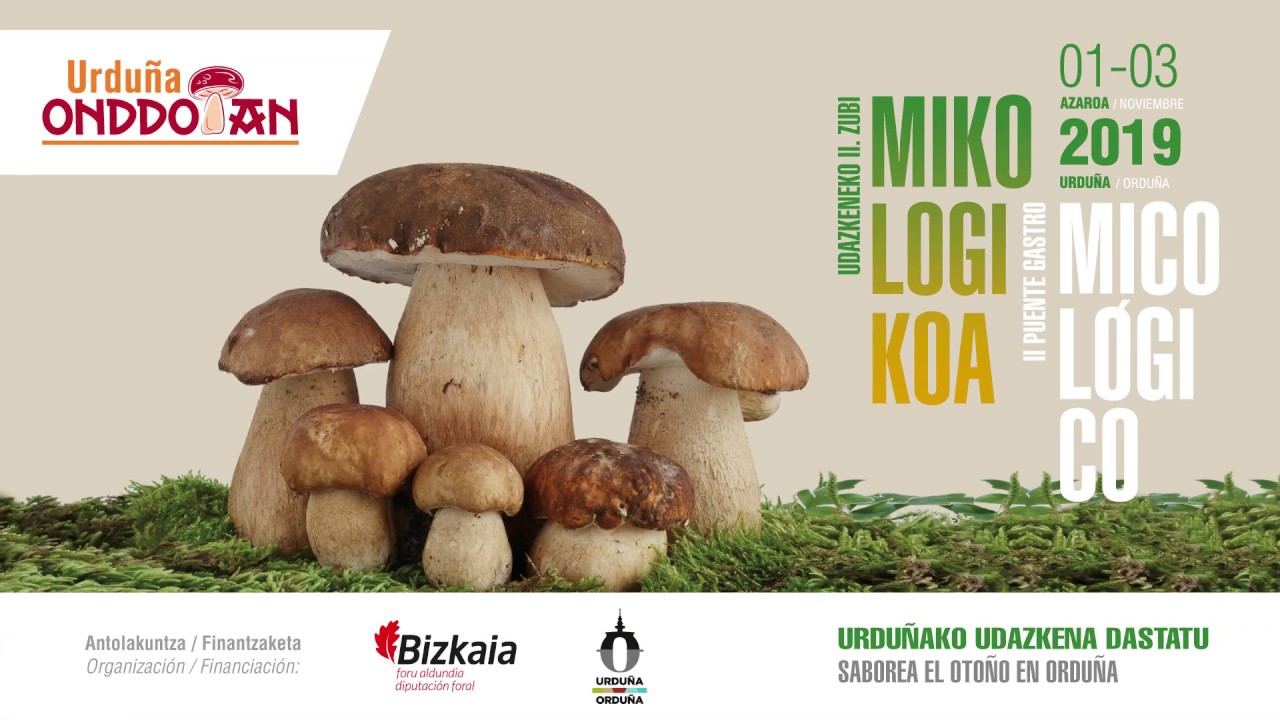Urdu&ntilde;a Onddotan 2019