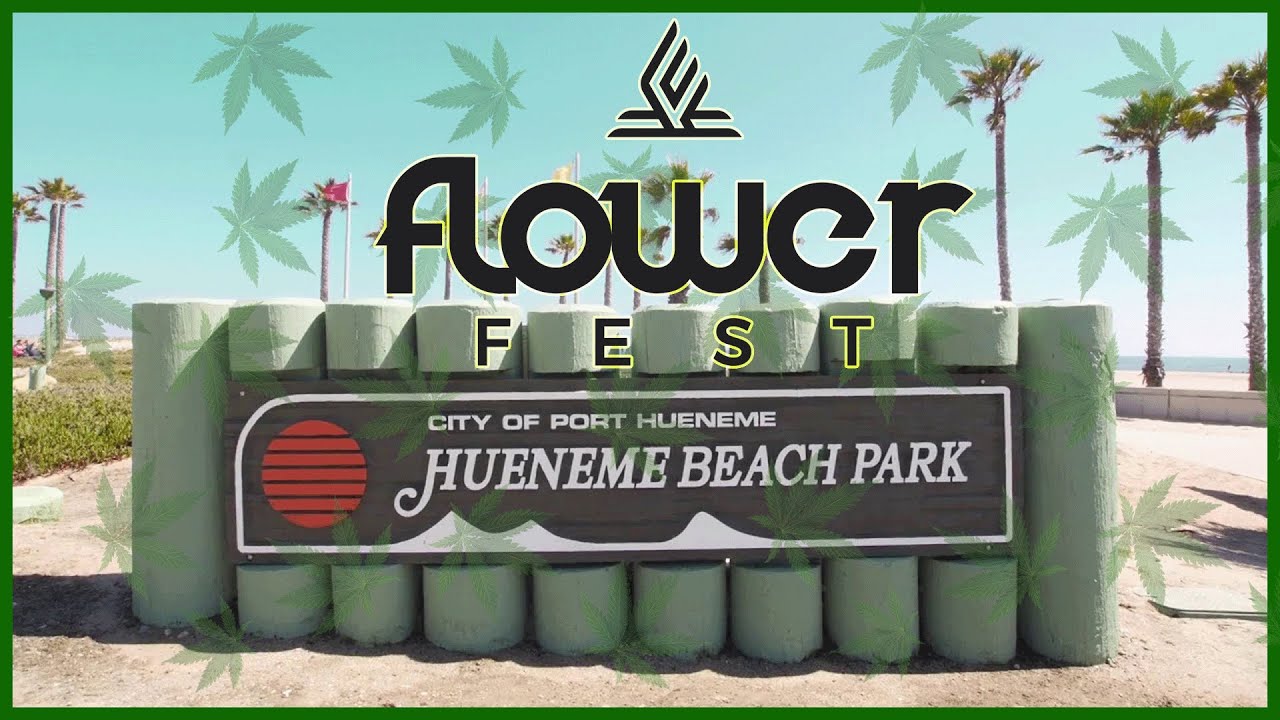 Interviewing our canna community