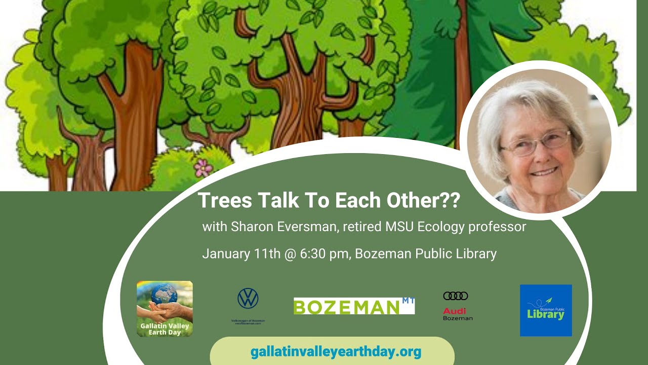 Trees Talk To Each Other??