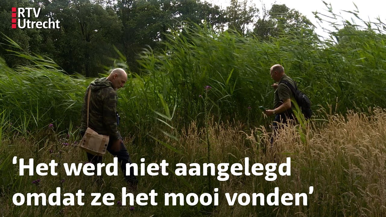 Van riet tot ringslang, de kracht van kleine stukjes natuur | RTV Utrecht