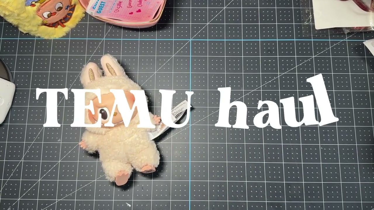 TEMU Haul | Affordable Bag Charms | Cute Finds For Your Bags