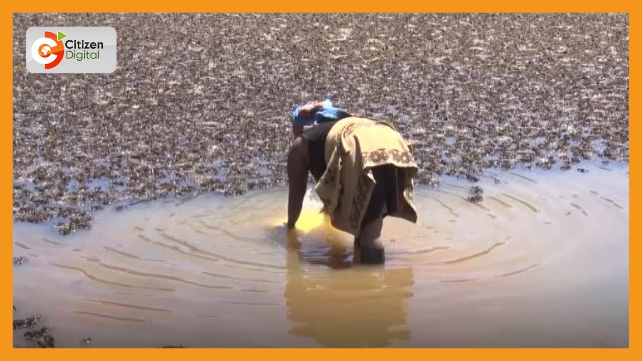 Residents of Pasenga area in Ol-Kalou are pleading with the gov’t to provide them with clean water