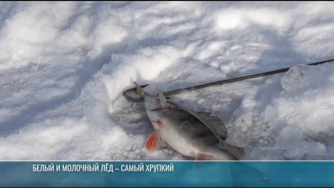 Зимняя рыбалка и правила безопасности на льду