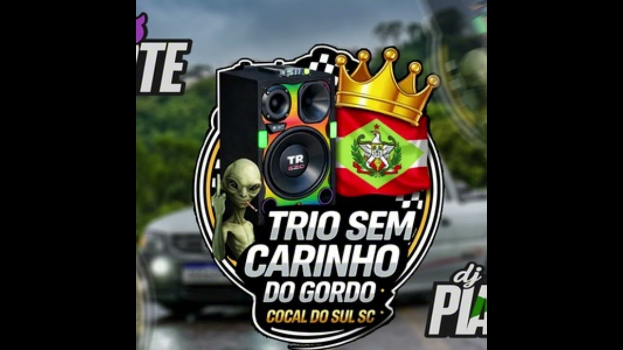 MEGA FUNK TRIO SEM CARINHO DO GORDO 2