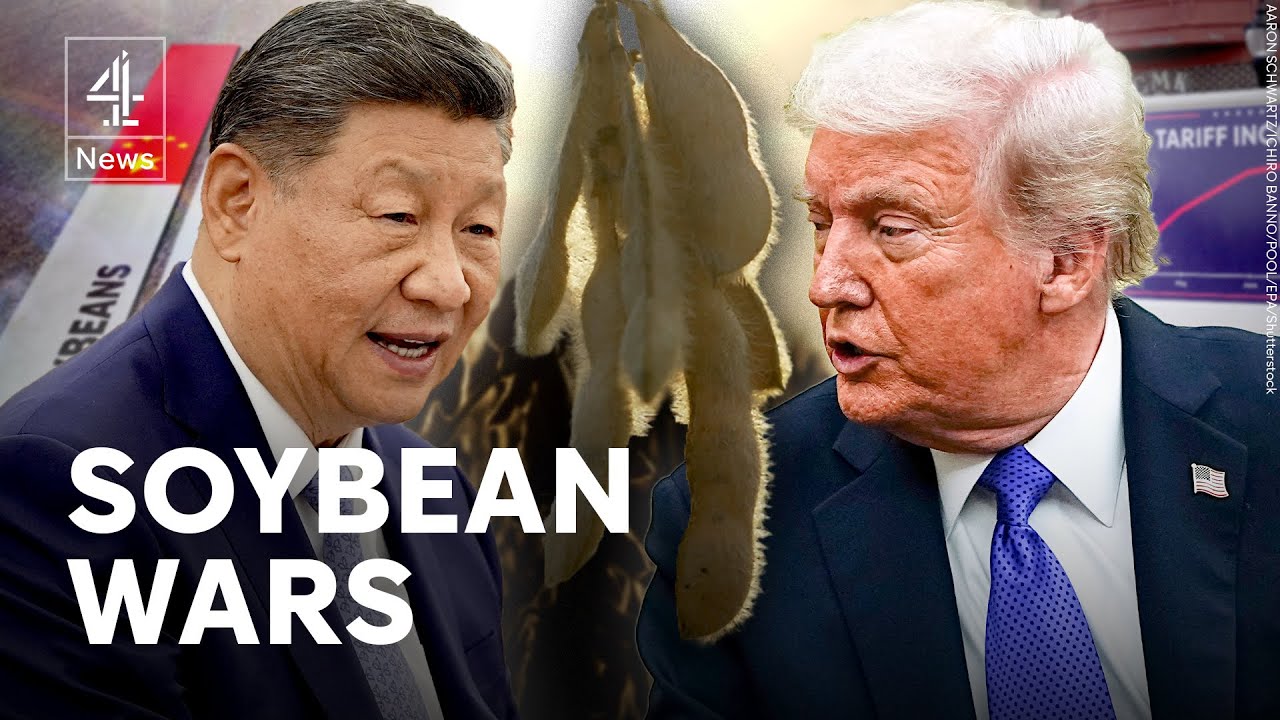 How the humble soya bean has become a political weapon in US-China trade war