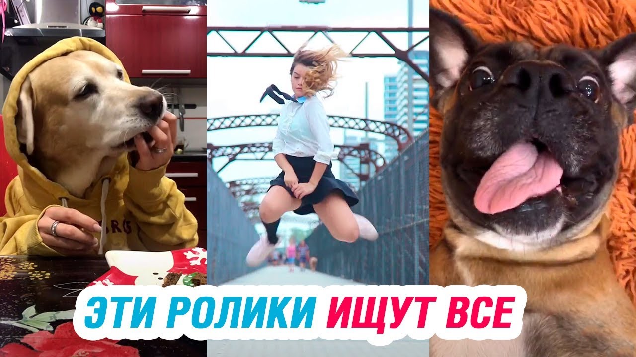 ТИК ТОК РЕАЛЬНО ЛУЧШЕЕ – ЭТО ТИК ТОК, ДЕТКА!