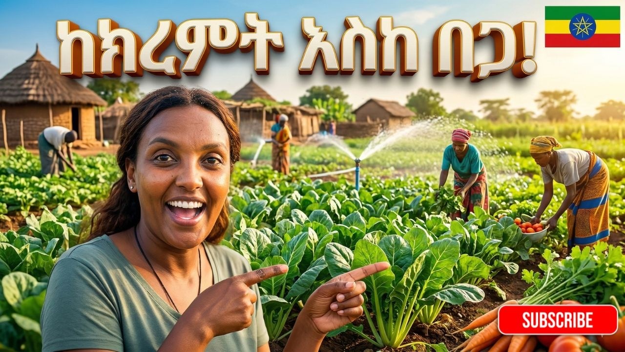 ​ከክረምት እስከ በጋ በእርሻ እና በጓዳ! 🌧️☀️ ሙሉ አመቴ /From winter to summer on the farm and in the barn!
