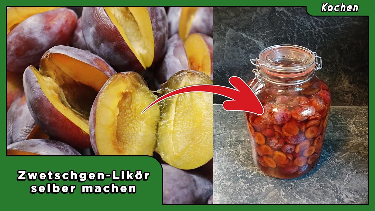 Zwetschgen Likör selber machen | Richtig ansetzen