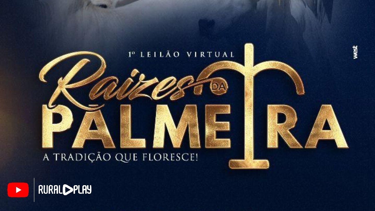 1° LEILÃO VIRTUAL RAIZES DA PALMEIRA - RIO VERDE/MS - RURAL PLAY