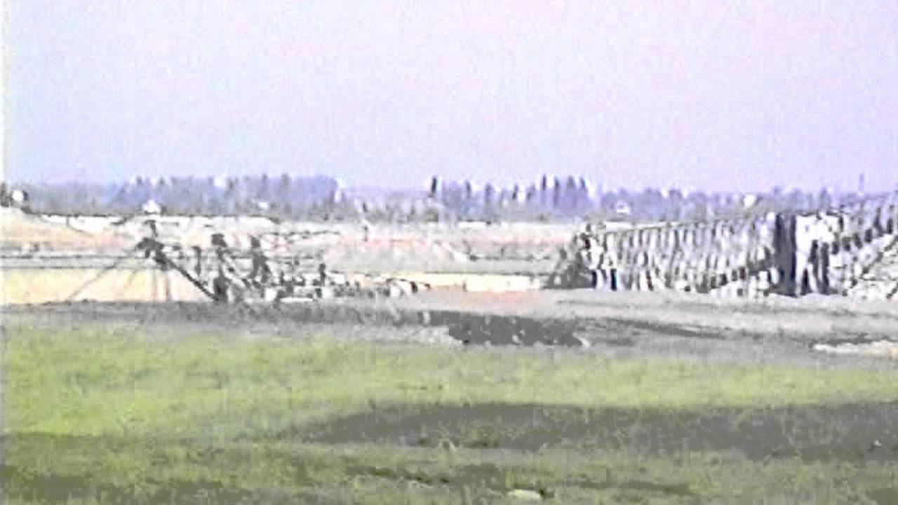 Aussichtspunkt Sedlitz 1994