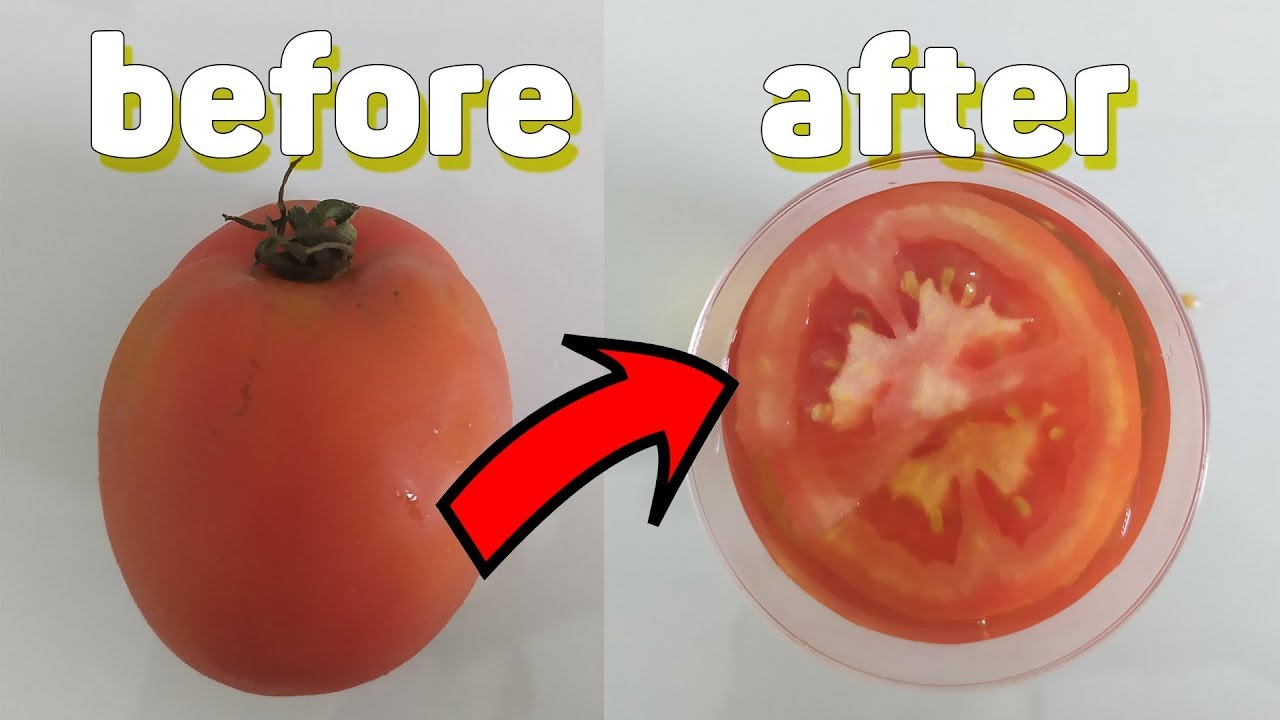 How To Test Pregnancy At Home Tomato 🍅 -  A New Natural Pregnancy Test 👍