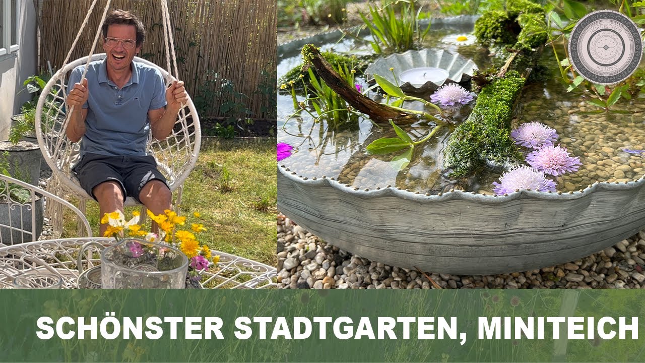 Wasserschale, Miniteich für Balkon und Garten, der schönste Stadtgarten ist fertig
