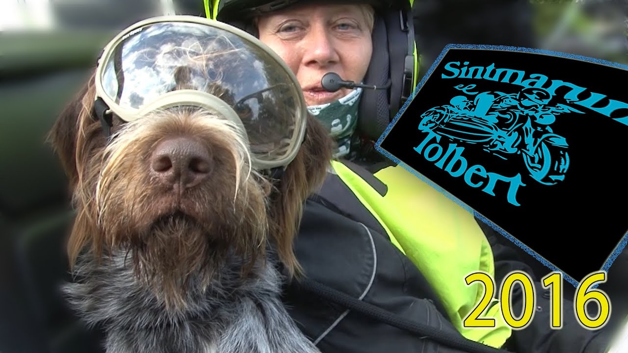 Sintmarun 2016 Zuidhorn