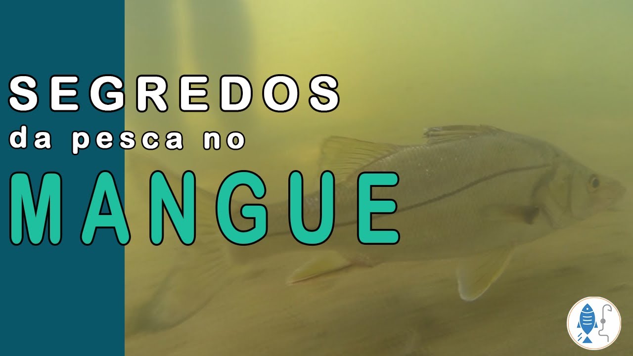 SEGREDOS DA PESCA NO MANGUE. DICAS M .Pescalinhares