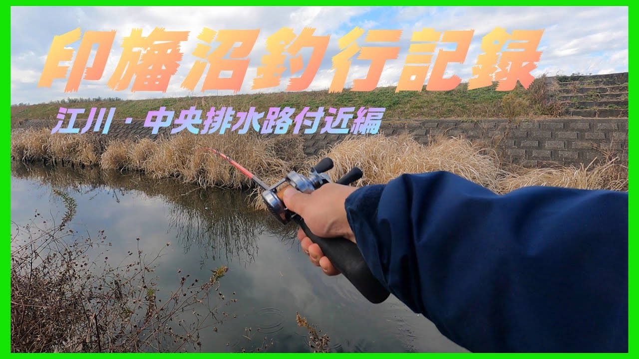 【バス釣り】午後に時間が取れたのでトップで印旛沼を攻めてみた。　＃トップウォーター　＃印旛沼