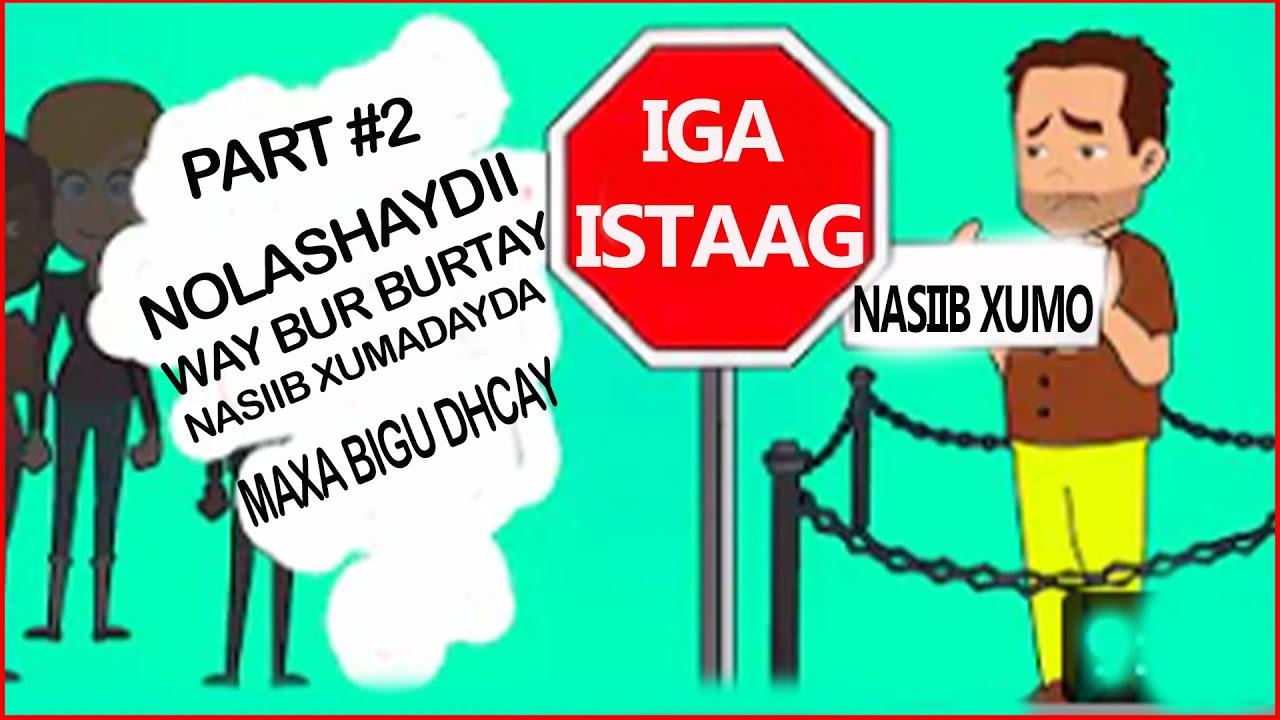 #qiso_cusub