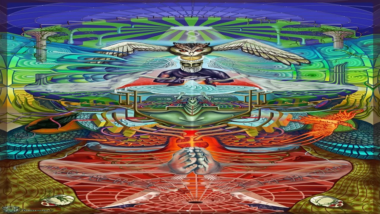Salvia 40x Sent These People Into Another Realm of Existence