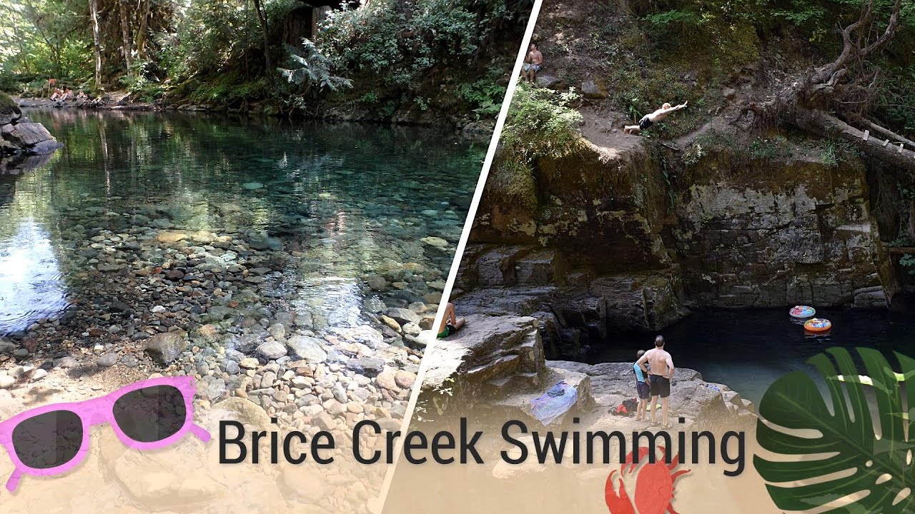 Brice Creek Swimming & Cliff Jumping